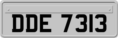 DDE7313