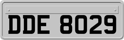 DDE8029