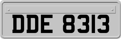 DDE8313