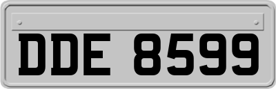 DDE8599