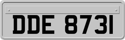 DDE8731