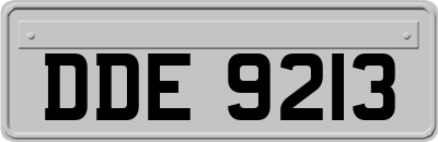 DDE9213