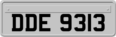 DDE9313