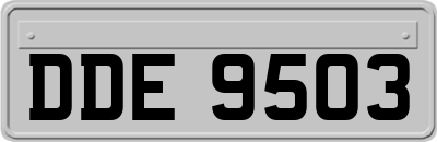 DDE9503