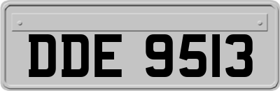 DDE9513