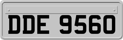 DDE9560