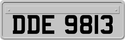 DDE9813