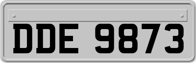 DDE9873