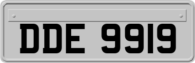 DDE9919