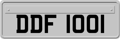 DDF1001
