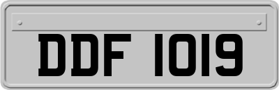 DDF1019