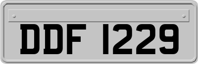 DDF1229