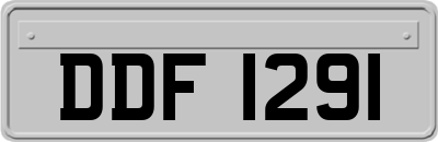 DDF1291