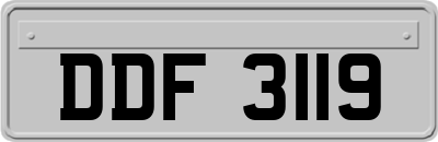 DDF3119