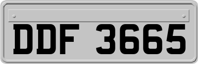 DDF3665
