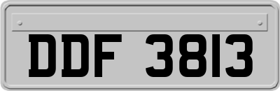 DDF3813