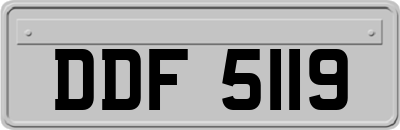 DDF5119