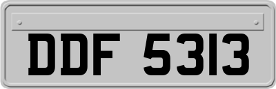 DDF5313