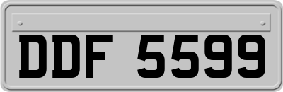 DDF5599