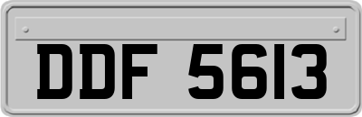 DDF5613