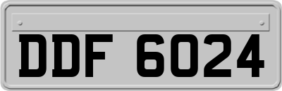 DDF6024
