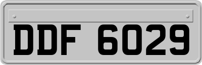 DDF6029