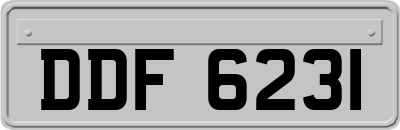 DDF6231