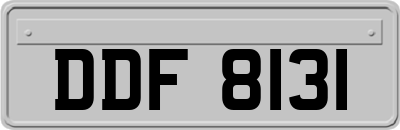 DDF8131