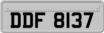 DDF8137