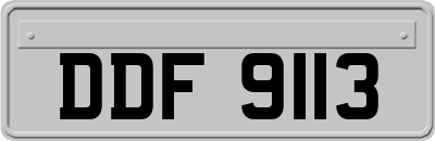 DDF9113