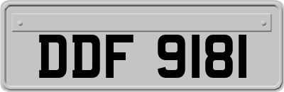 DDF9181
