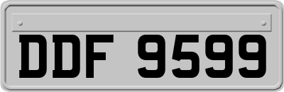 DDF9599