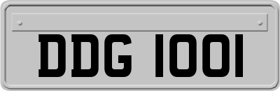DDG1001