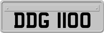DDG1100