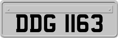 DDG1163
