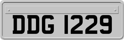 DDG1229