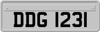 DDG1231