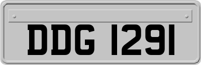 DDG1291