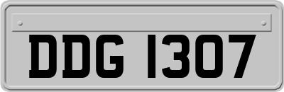 DDG1307