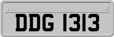 DDG1313