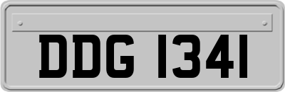 DDG1341