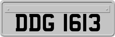 DDG1613