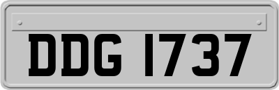 DDG1737