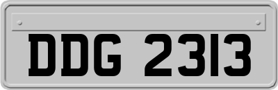 DDG2313