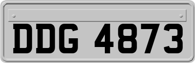 DDG4873