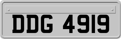 DDG4919