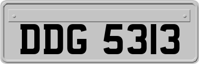 DDG5313
