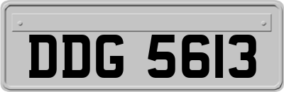 DDG5613