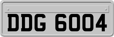 DDG6004