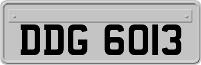 DDG6013
